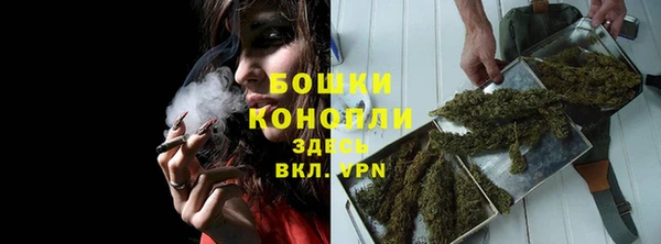 ПСИЛОЦИБИНОВЫЕ ГРИБЫ Беломорск
