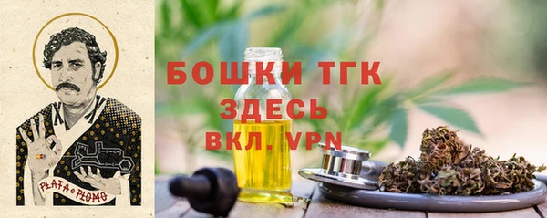 стафф Богородицк